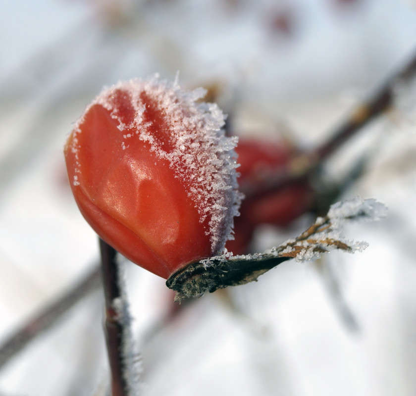 �������� ������ �����������! ����� ����� ������ �� PhotoGeek.ru #����� #��������� #���������������