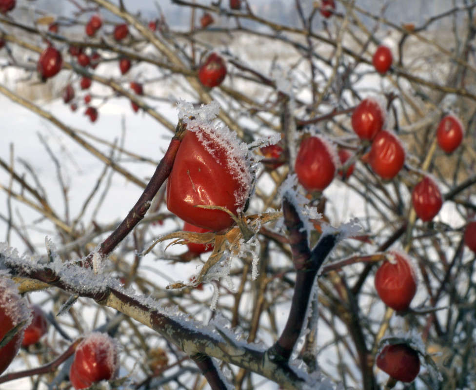 ������ ������! ����� ����� ������ �� PhotoGeek.ru #������ ��� ������� #��������� #������