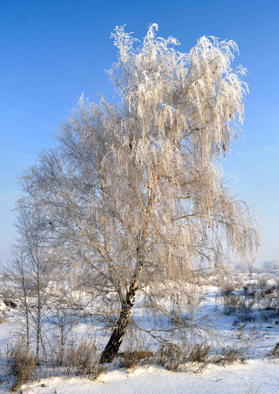 �����������! ����� ����� ������ �� PhotoGeek.ru #������ ��� ������� #����� �������������� #��������� #������