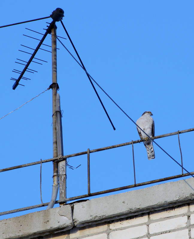 ������� �����. ����� ����� ������ �� PhotoGeek.ru #����� #�������� ��� #����� ��� ��� ���������