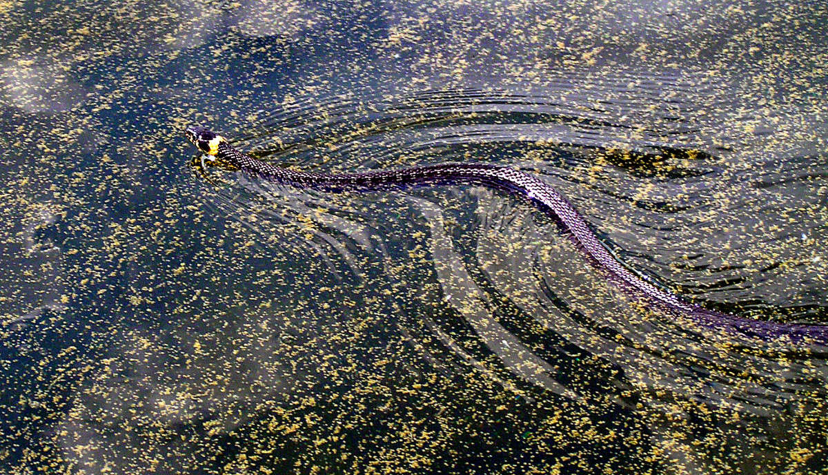 ������! ����� ����� ������ �� PhotoGeek.ru #�������� ��� #����� ��� ��� ���������