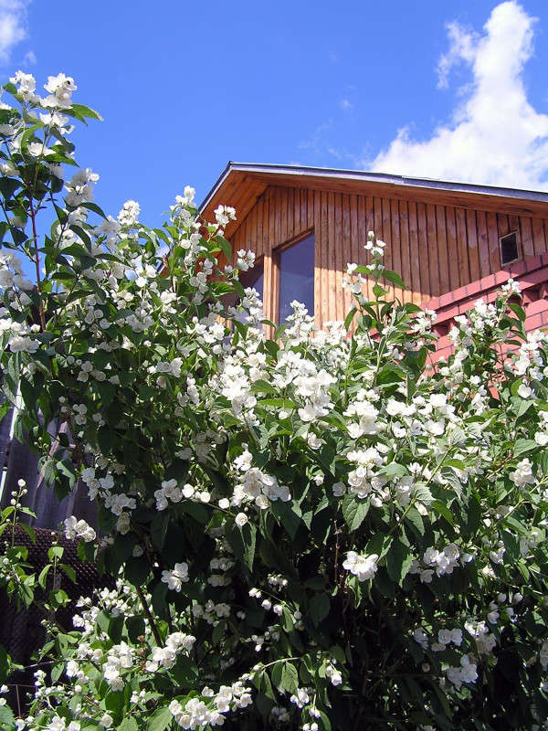 ������! ����� ����� ������ �� PhotoGeek.ru #������ ��� ������� #����� �������������� #��������� #������