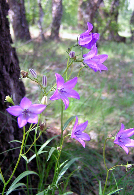 ... ����� ����� ������ �� PhotoGeek.ru #������ ��� ������� #����� �������������� #��������� #��� #������ #�����