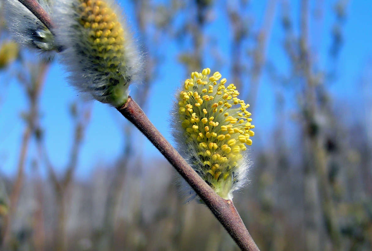 ��� �����! ����� ����� ������ �� PhotoGeek.ru #������ ��� ������� #����� �������������� #��������� #������