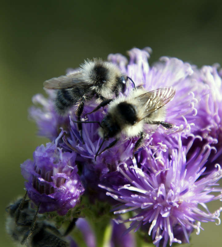 ���������! ����� ����� ������ �� PhotoGeek.ru #����� #�������� ��� #���������