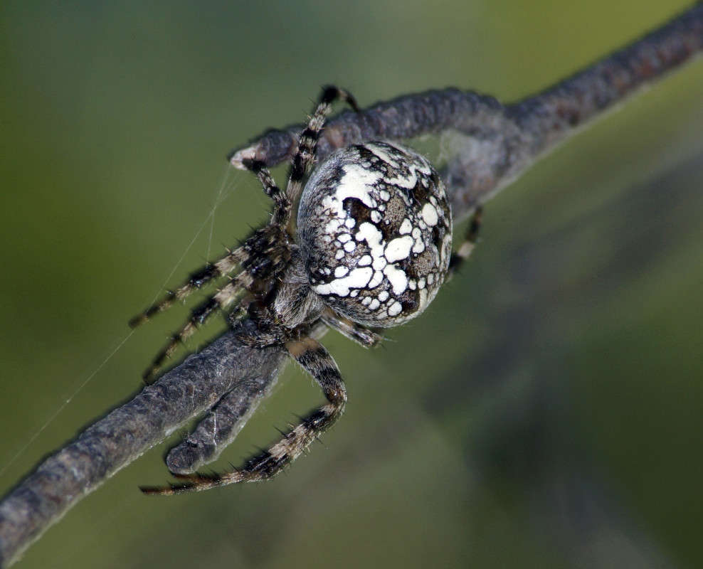 ������! ����� ����� ������ �� PhotoGeek.ru #����� #�������� ��� #���������