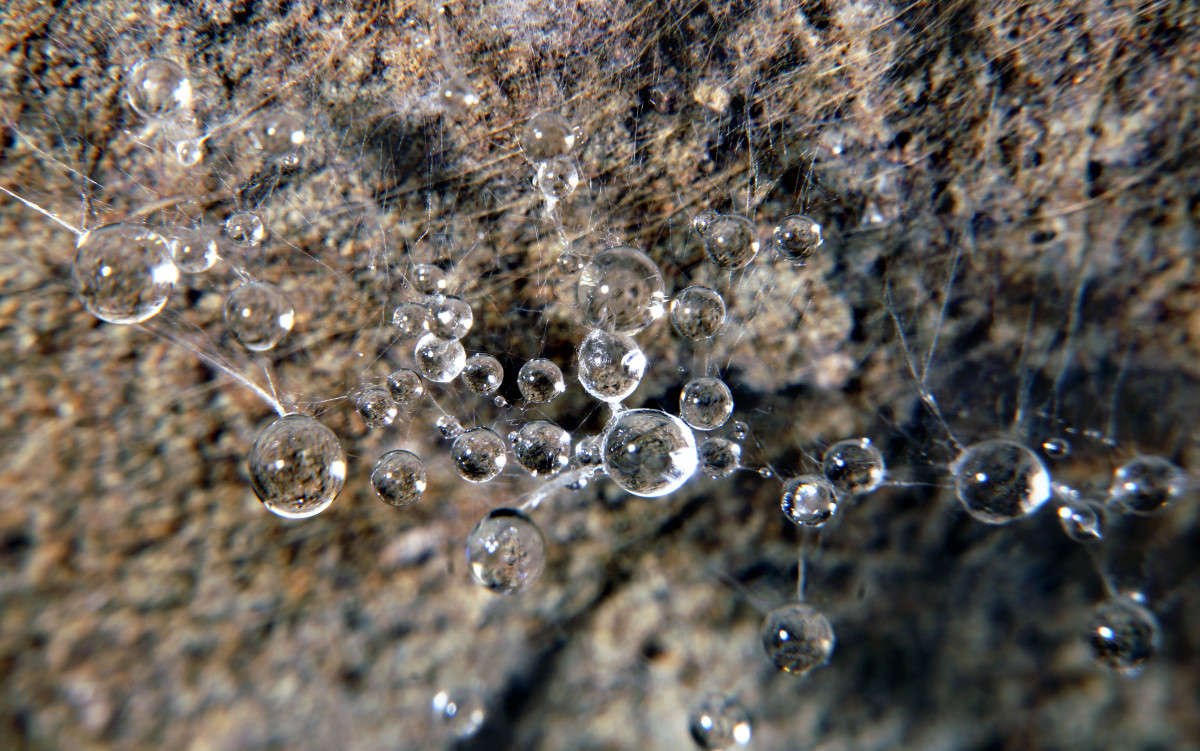 ��������! ����� ����� ������ �� PhotoGeek.ru #����� #���������