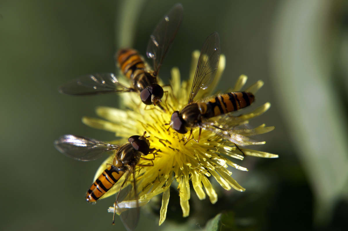 �� �����! ����� ����� ������ �� PhotoGeek.ru #����� #�������� #���������