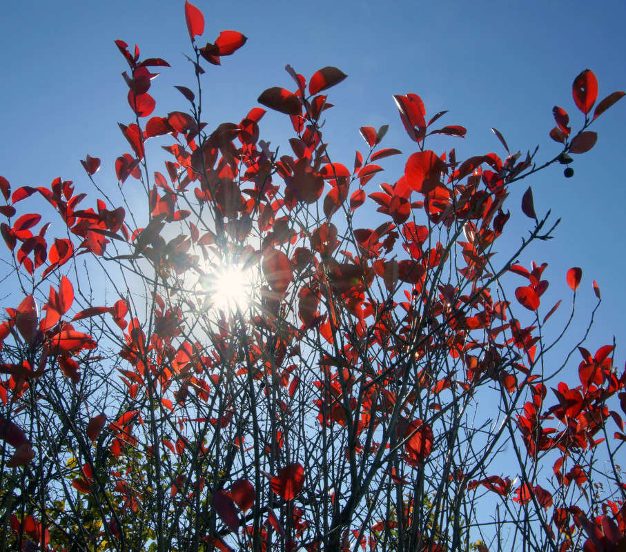 ������ �����! ����� ����� ������ �� PhotoGeek.ru #������ ��� ������� #����� #������