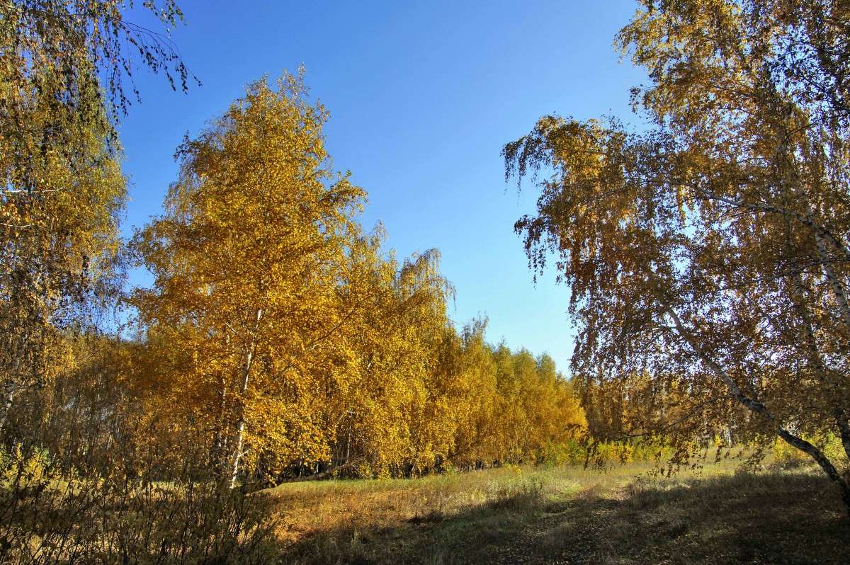 ������ ����� 2! ����� ����� ������ �� PhotoGeek.ru #������ ��� ������� #����� #������