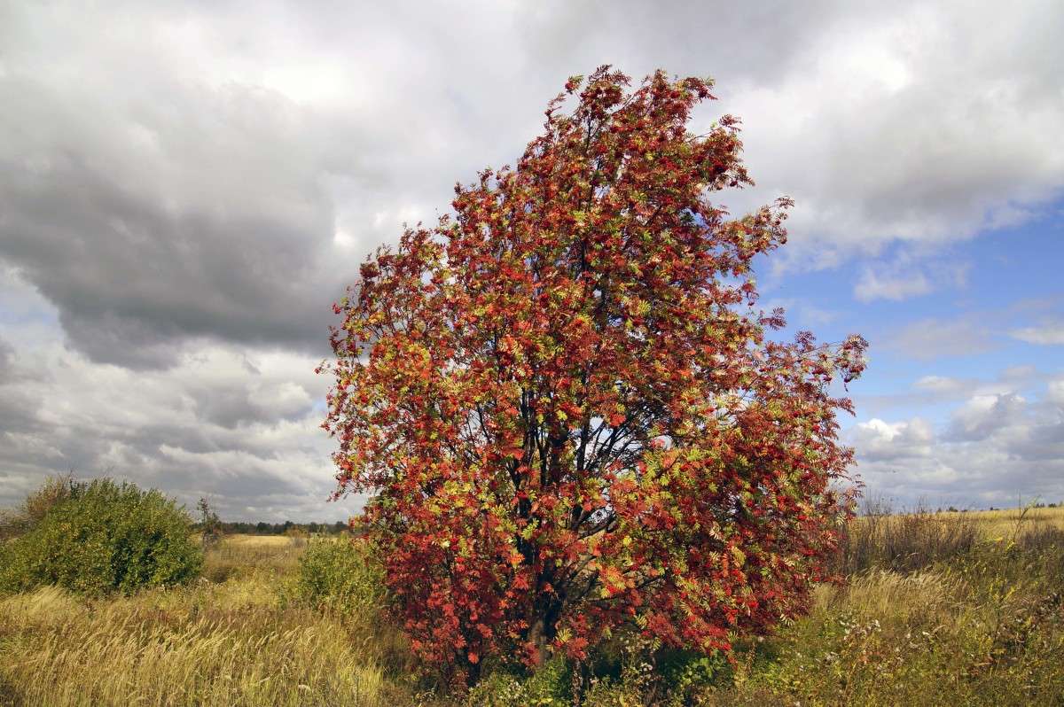 ������ ����� 3! ����� ����� ������ �� PhotoGeek.ru #������ ��� ������� #����� �������������� #����� #������