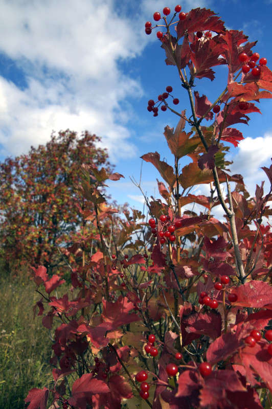 ������ ����� 4! ����� ����� ������ �� PhotoGeek.ru #������ ��� ������� #����� �������������� #����� #������ #����� ��������