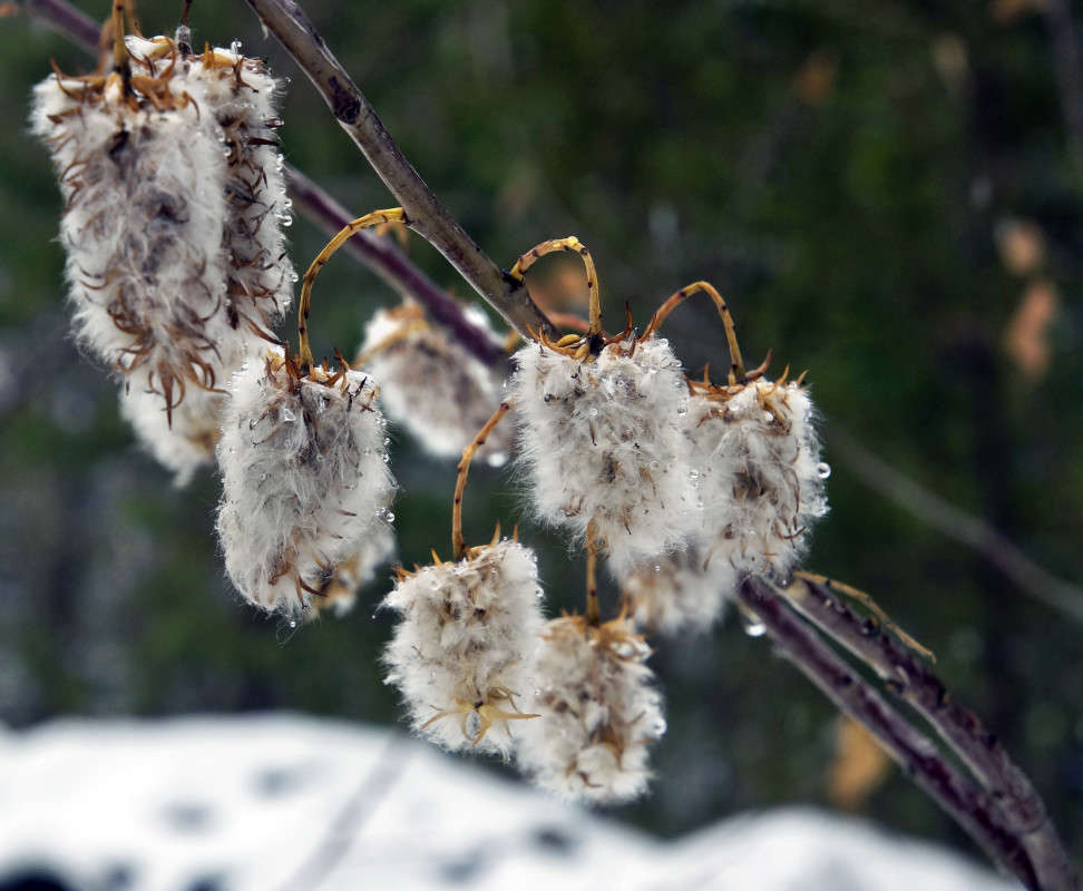 ���������! ����� ����� ������ �� PhotoGeek.ru #������ ��� ������� #������� ����� #������