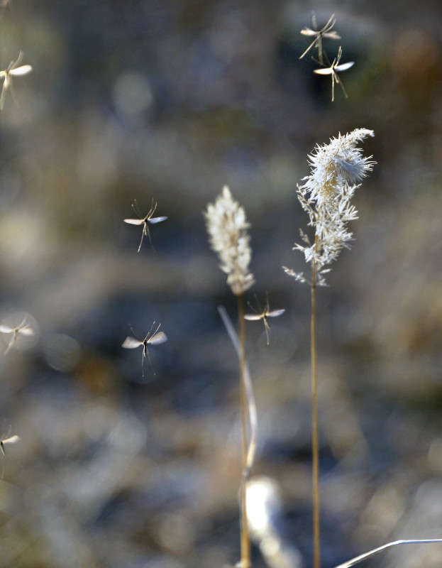 ���������? �-���... ����� ����� ������ �� PhotoGeek.ru #������ ��� ������� #������ #����� ��������