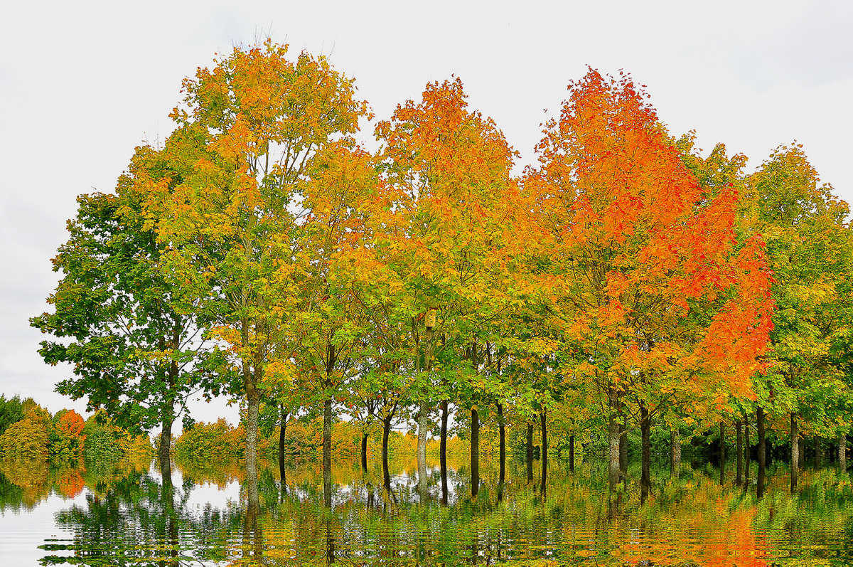 ����� ����� Algimantas Markevicius �� PhotoGeek.ru #������ ��� ������� #�������� ����������