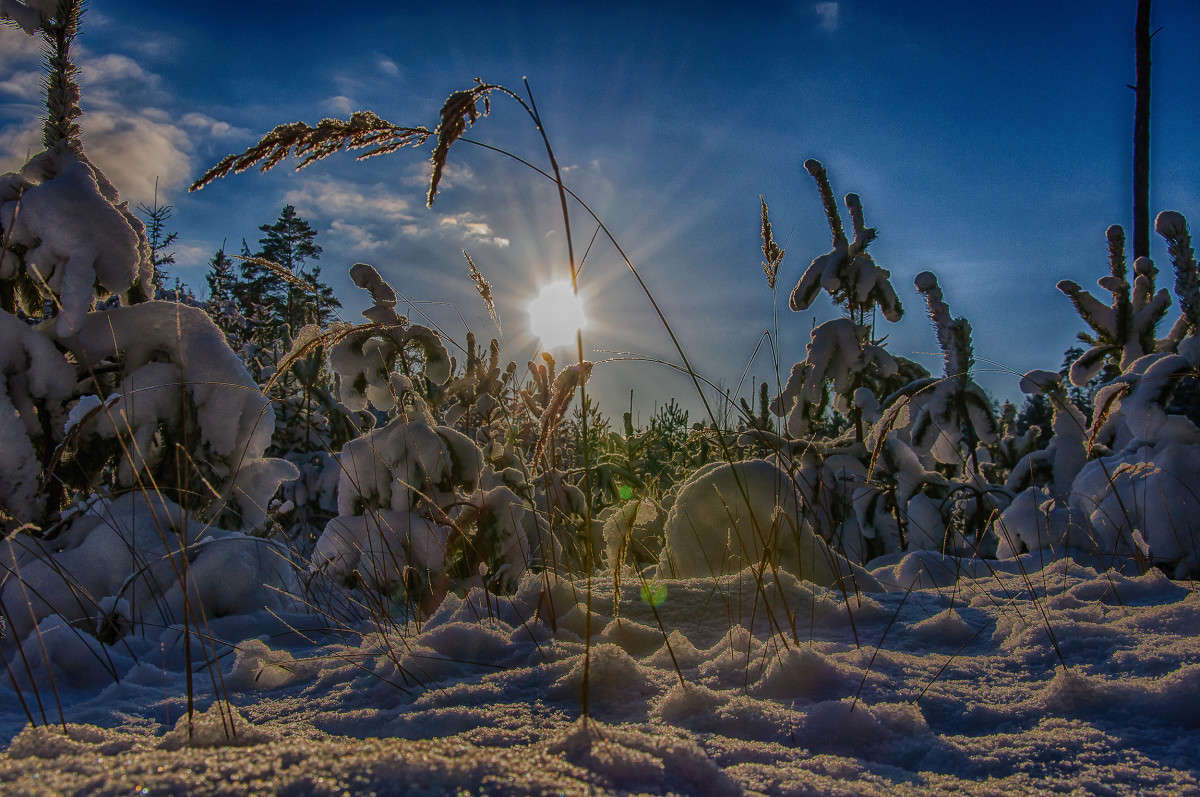 � ���� ����� Algimantas Markevicius �� PhotoGeek.ru #������ ��� �������