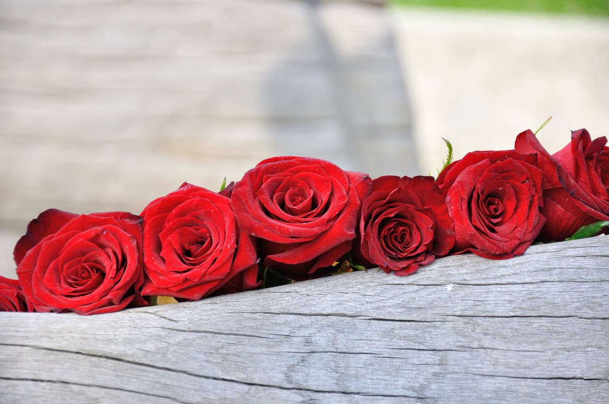 ����..... ����� Algimantas Markevicius �� PhotoGeek.ru #��������� #�������������