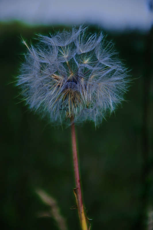 O�������� ����� Algimantas Markevicius �� PhotoGeek.ru #������ ��� ������� #����� ��������������