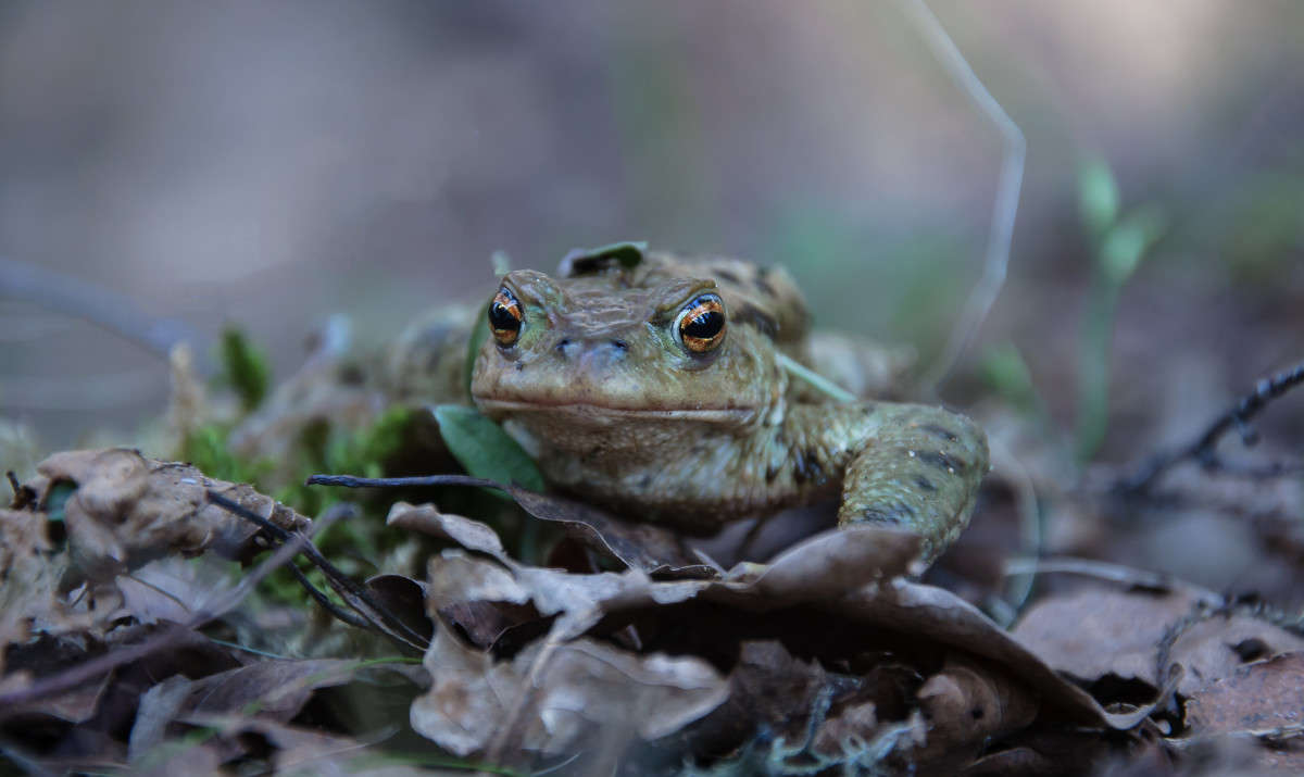 ��������� ����� Algimantas Markevicius �� PhotoGeek.ru #�������� ��� #����� ��� ��� ���������