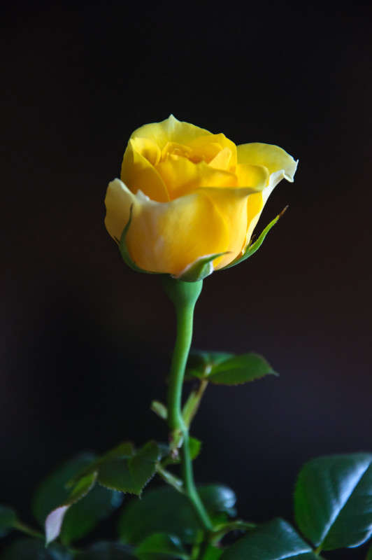 ����.... ����� Algimantas Markevicius �� PhotoGeek.ru #������ ��� ������� #����� ��������������