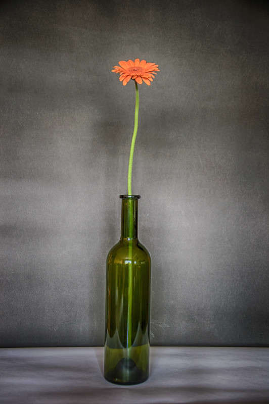 ������ � �������.... ����� Algimantas Markevicius �� PhotoGeek.ru #��������� #������ ��� ������� #����� ��������������