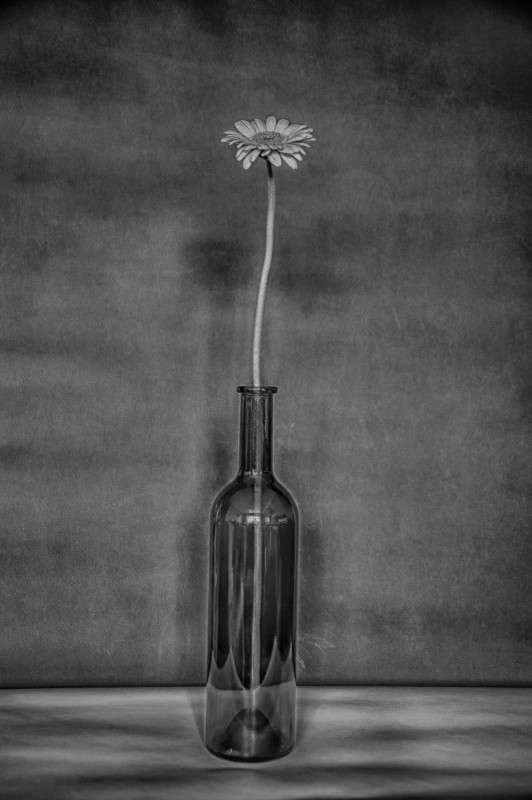 ... ����� Algimantas Markevicius �� PhotoGeek.ru #��������� #�������������