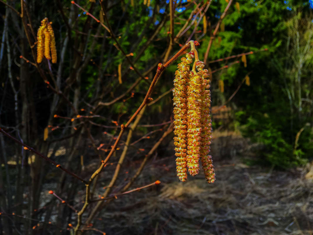 ����� ����� Algimantas Markevicius �� PhotoGeek.ru #������ ��� ������� #������