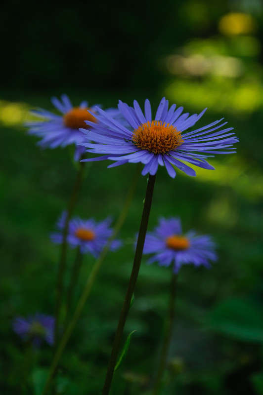 ... ����� Algimantas Markevicius �� PhotoGeek.ru #������ ��� ������� #����� ��������������