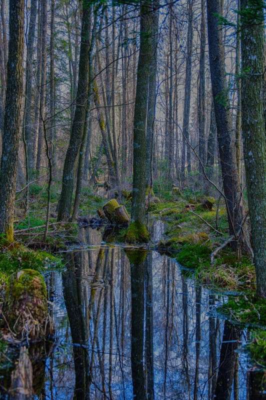 ... ����� Algimantas Markevicius �� PhotoGeek.ru #������ ��� ������� #����� ��������������