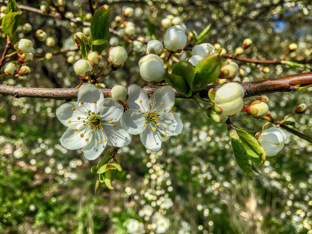 ... ����� Algimantas Markevicius �� PhotoGeek.ru #������ ��� ������� #����� ��������������