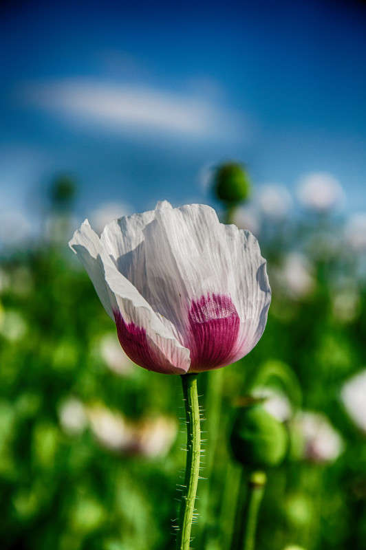 ... ����� Algimantas Markevicius �� PhotoGeek.ru #������ ��� ������� #����� ��������������