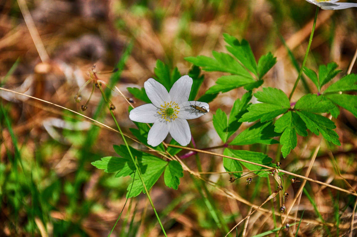 ... ����� Algimantas Markevicius �� PhotoGeek.ru #������ ��� ������� #����� ��������������
