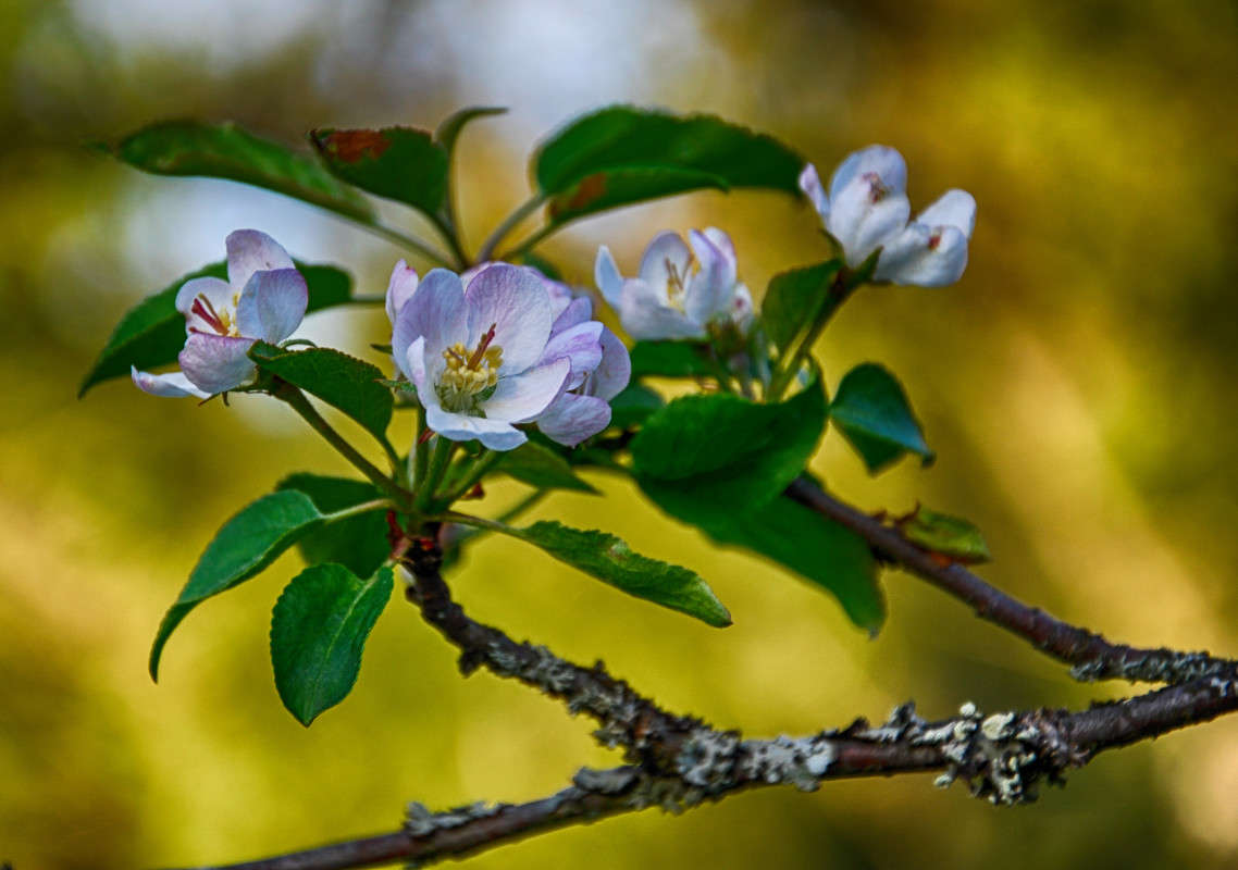 ... ����� Algimantas Markevicius �� PhotoGeek.ru #������ ��� ������� #����� ��������������