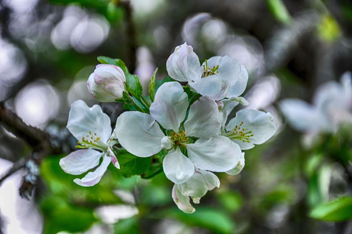 ... ����� Algimantas Markevicius �� PhotoGeek.ru #������ ��� ������� #����� ��������������