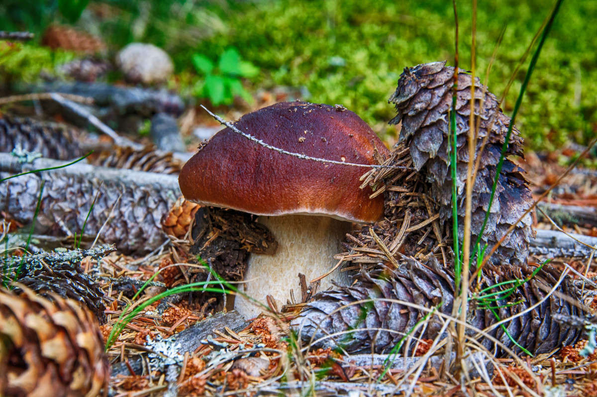 ... ����� Algimantas Markevicius �� PhotoGeek.ru #������ ��� ������� #����� ��������������