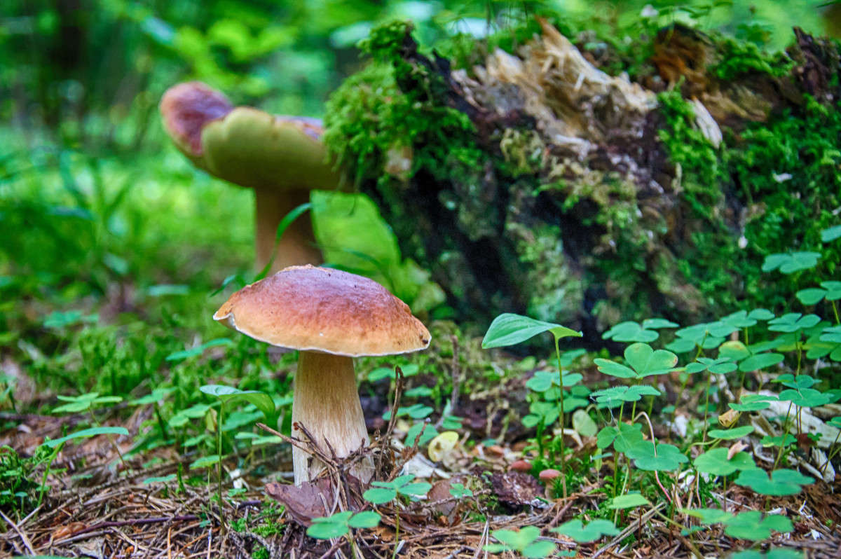 ... ����� Algimantas Markevicius �� PhotoGeek.ru #������ ��� ������� #����� ��������������