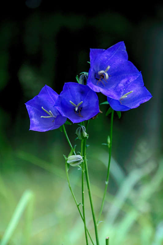 ... ����� Algimantas Markevicius �� PhotoGeek.ru #������ ��� ������� #����� ��������������