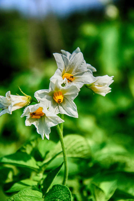 ... ����� Algimantas Markevicius �� PhotoGeek.ru #������ ��� ������� #����� ��������������