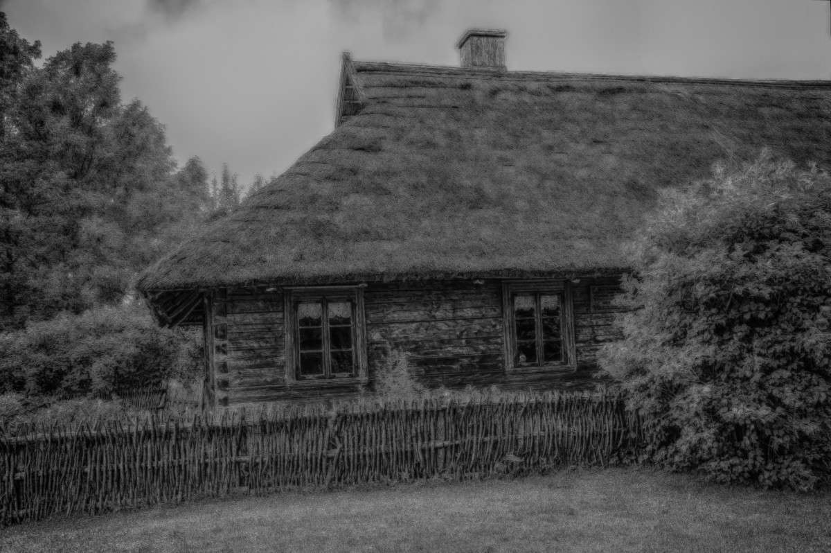 ... ����� Algimantas Markevicius �� PhotoGeek.ru #�����������