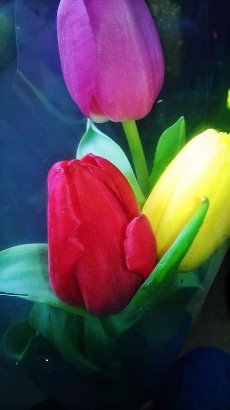 �������� �� 8 ����� ����� ��������  �������� �� PhotoGeek.ru #������ ��� �������