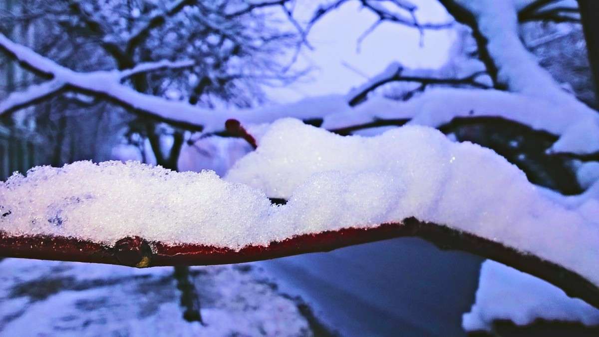 ������ ���� ����� ��������  �������� �� PhotoGeek.ru #������ ��� �������