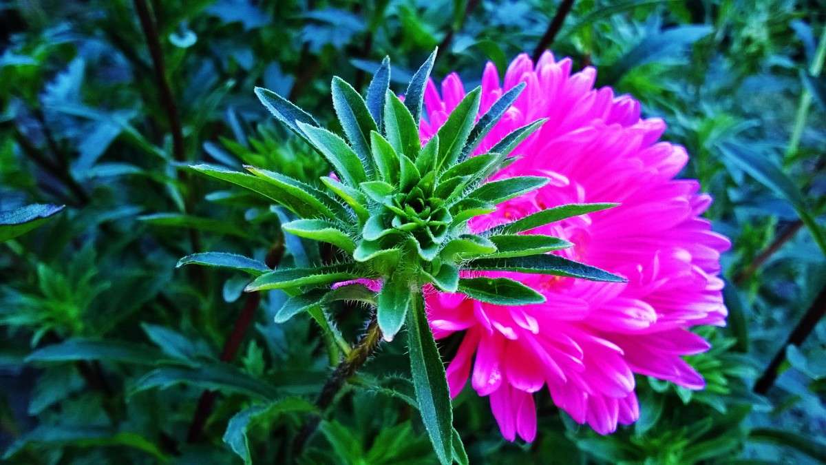 ������ �������� ����� ��������  �������� �� PhotoGeek.ru #������ ��� �������