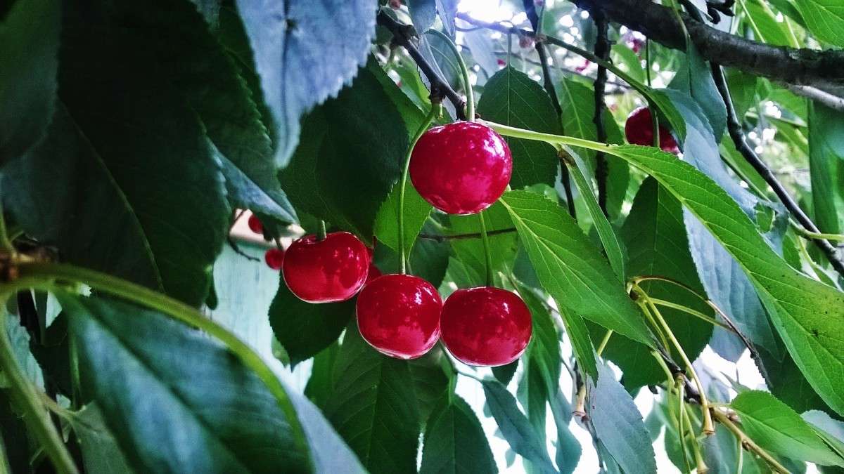 ������� ����� ��������  �������� �� PhotoGeek.ru #������ ��� �������