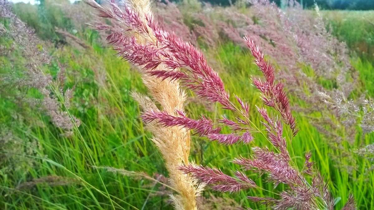 ��� �������� ����� ��������  �������� �� PhotoGeek.ru #������ ��� �������