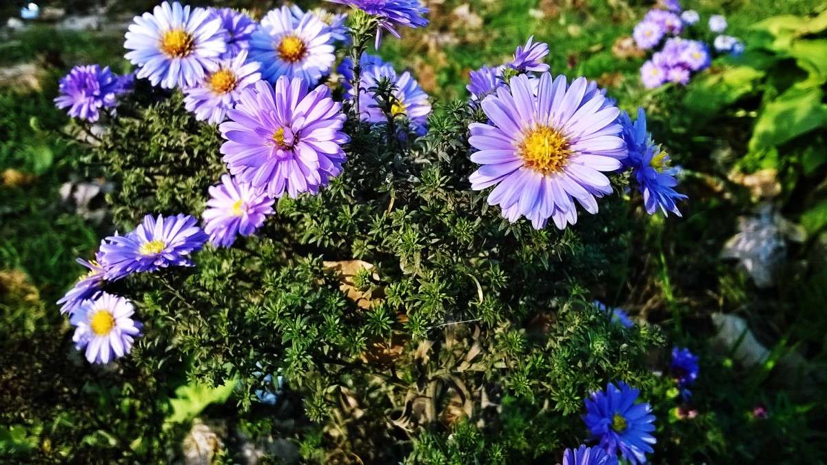 �������� ������ ����� ��������  �������� �� PhotoGeek.ru #������ ��� �������