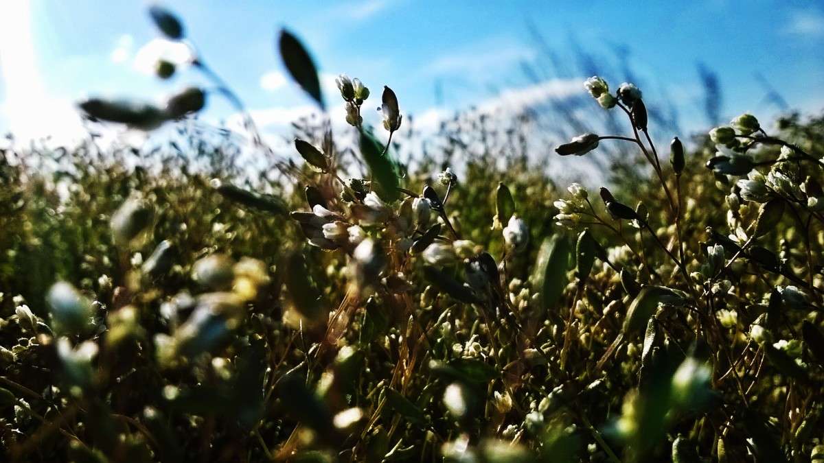 ��������� �������� �� ����� ����� ��������  �������� �� PhotoGeek.ru #������ ��� �������