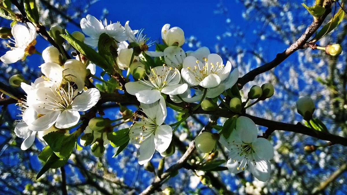 ����� ����� ��������  �������� �� PhotoGeek.ru #������ ��� �������