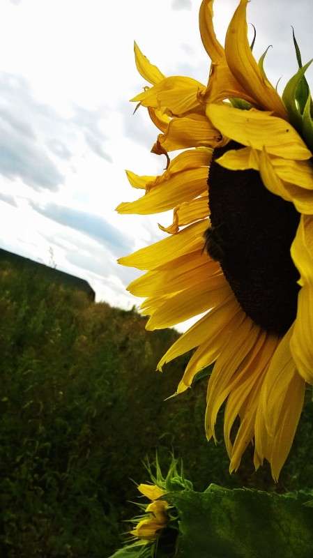 ��������� ����� ��������  �������� �� PhotoGeek.ru #������ ��� �������