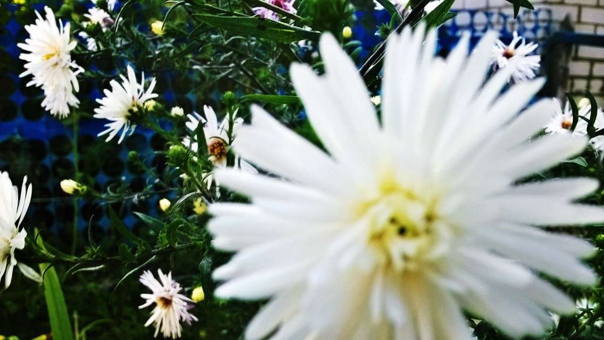 ����� �������� ����� ��������  �������� �� PhotoGeek.ru #������ ��� �������