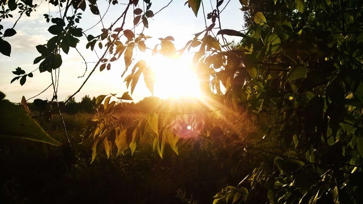 �������� ����� ��������  �������� �� PhotoGeek.ru #������ ��� �������